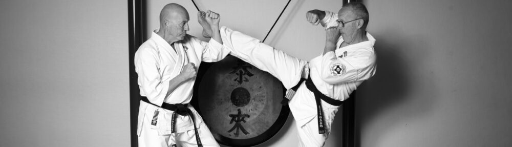 Muramachi dojo